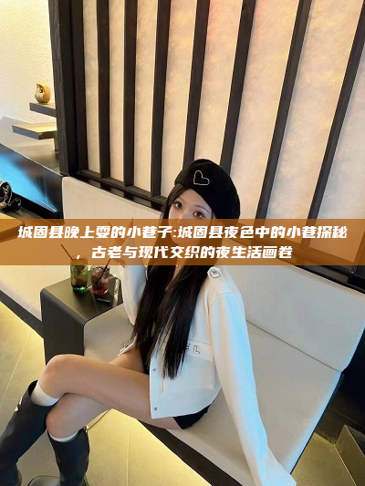 城固县晚上耍的小巷子:城固县夜色中的小巷探秘，古老与现代交织的夜生活画卷