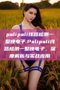 palipali线路检测一整晚电子:Palipali线路检测一整晚电子，深度解析与实战应用