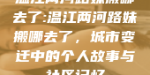 温江两河路妹搬哪去了:温江两河路妹搬哪去了，城市变迁中的个人故事与社区记忆