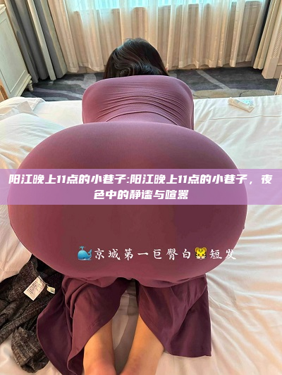 阳江晚上11点的小巷子:阳江晚上11点的小巷子，夜色中的静谧与喧嚣