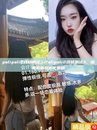 palipali2线路测试3:Palipali2线路测试3，深度解析与优化策略