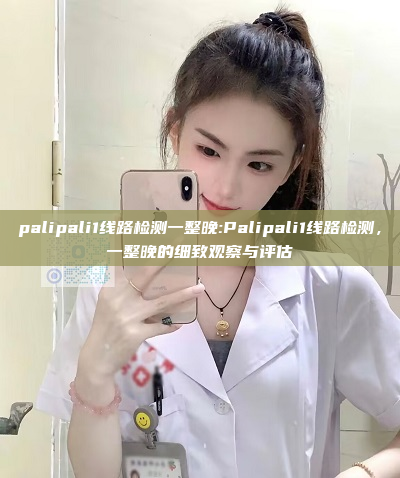 palipali1线路检测一整晚:Palipali1线路检测，一整晚的细致观察与评估