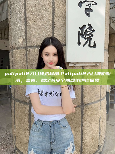 palipali2入口线路检测:Palipali2入口线路检测，高效、稳定与安全的网络通道保障