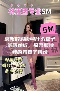 崇阳的鸡街叫什么巷子:崇阳鸡街，探寻那独特的鸡巷子风情